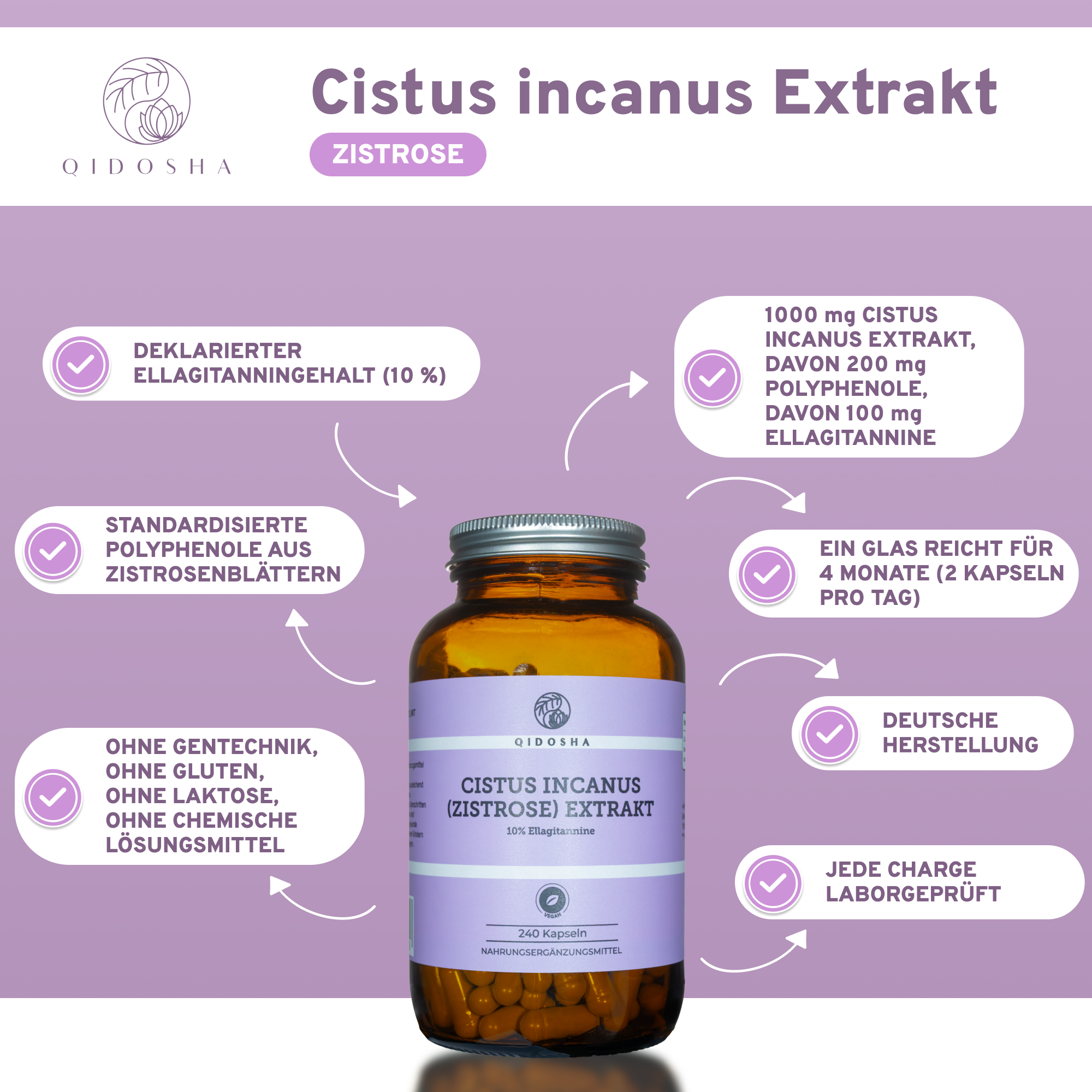 Cistus incanus (Zistrose) Extrakt von Qidosha: Premium, laborgeprüfte Kapseln, 240 Stück, mit 1.000 mg Extrakt pro Portion, vegan, ohne Zusatzstoffe. Nachhaltige Apothekerglasverpackung.