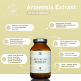 Artemisia (Beifuß) Extrakt in braunem Glas, 240 Kapseln. Premium Nahrungsergänzungsmittel, garantiert 5% Artemisinin, laborgeprüft, ohne Zusatzstoffe, vegan, deutsche Herstellung.