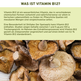Vitamina B12 (vegetal) de extrato orgânico de shiitake // vss. disponível a partir de dezembro de 2025