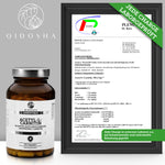 Acetyl-L-Carnitin (bioaktiv) im Glas, 120 vegane Kapseln; laborgeprüfte Qualität; Premium-Nahrungsergänzungsmittel von QIDOSHA, mit hoher Bioverfügbarkeit, ohne Füll- oder Zusatzstoffe.