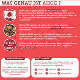 AHCC® Alpha-Glucane aus Shiitake: Infografik erklärt bioverfügbaren, laborgeprüften Premium-Extrakt aus Shiitake-Pilzen, reich an Alpha-Glucanen, ideal für TCM-Anwendungen.