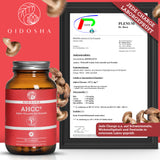 AHCC® Alpha-Glucane aus Shiitake: Premium, laborgeprüftes Nahrungsergänzungsmittel. Glasbehälter mit 90 veganen Kapseln, umgeben von Shiitake-Pilzen und Zertifikat zur Reinheit und Sicherheit.
