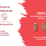AHCC® Alpha-Glucane aus Shiitake: Premium pflanzliche Kapseln, 100% Zellulose, ohne Gelatine, allergenfrei, enthalten bioverfügbare Alpha-Glucane, in Deutschland hergestellt, laborgeprüfte Qualität.