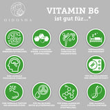 Complexe principal d'acides aminés et vitamine B6