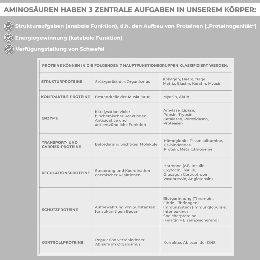 Master Aminosäuren Komplex plus Vitamin B6 im Glas