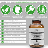 Complexe maître d'acides aminés INTENSO (compresses)