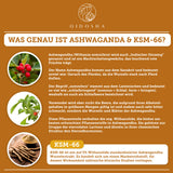 Organic Ashwagandha Extract KSM-66®