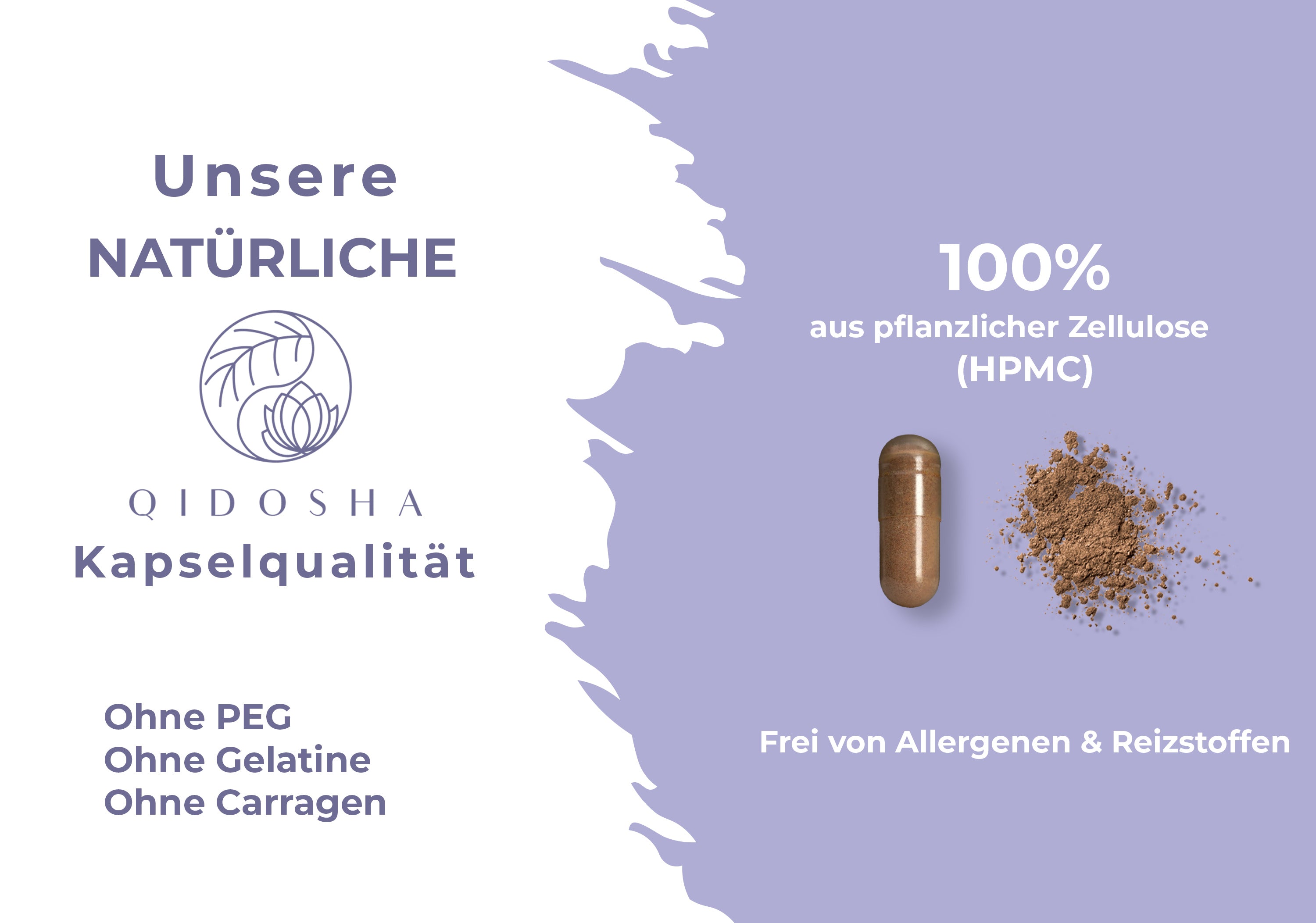 QIDOSHA Coleus Forskohlii Extrakt: Premium Kapseln mit 20% Forskolin, 100% pflanzlich, ohne PEG, Gelatine, Carrageen. Laborgeprüft, frei von Allergenen und Reizstoffen. Nachhaltige Glasverpackung.