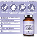 Coleus Forskohlii Extrakt, Premium-Nahrungsergänzungsmittel mit 20% Forskolin, vegan, laborgeprüft, ohne Füllstoffe, hergestellt in Deutschland, 120 Kapseln in Glasverpackung.
