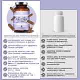 Extract de Coleus Forskohlii (Coleus) cu 20% forskolin