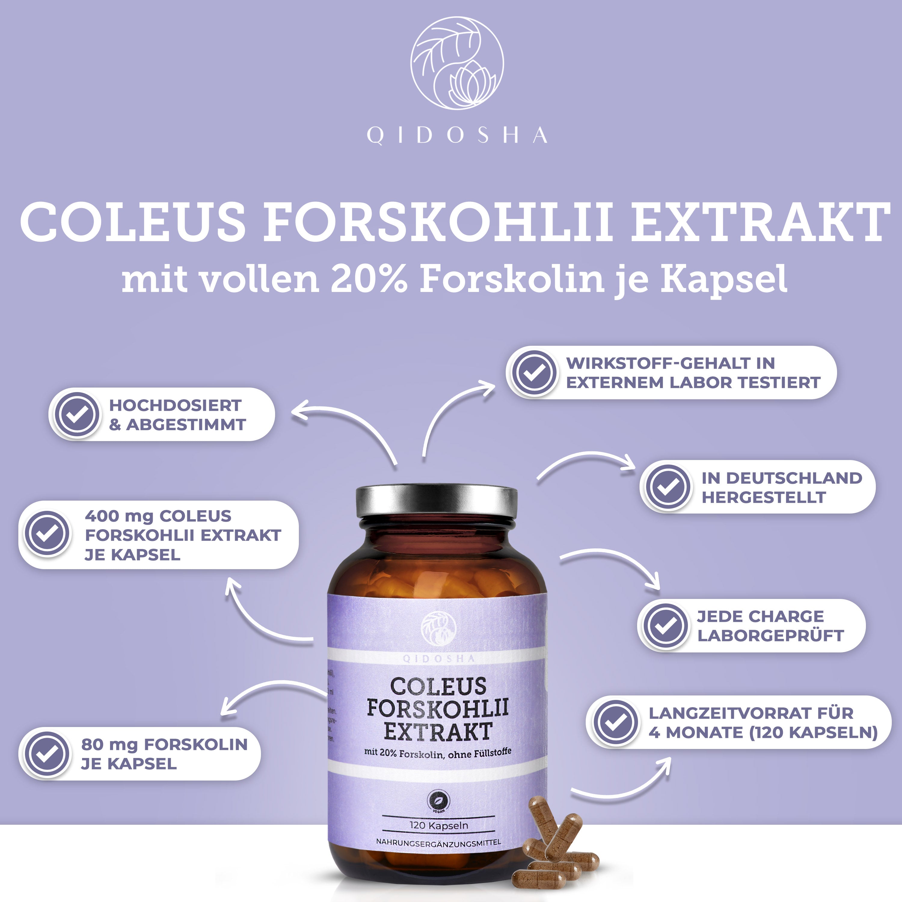 Qidosha Coleus Forskohlii Extrakt mit 20% Forskolin: Braunglas mit 120 veganen, laborgeprüften Kapseln, hochdosiert, ohne Zusatzstoffe, in Deutschland hergestellt. Premium-Nahrungsergänzungsmittel.