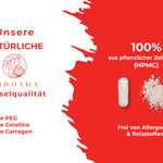 Glucosamin & Chondroitin plus Vitamin C Kapseln, 100% pflanzliche Zellulose, laborgeprüfte Qualität, ohne PEG, Gelatine oder Carragen, in lichtgeschütztem Glas verpackt.