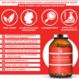 Glucosamin & Chondroitin plus Vitamin C in einem 240-Kapsel-Glas. Premium, laborgeprüfte Qualität, ohne Füllstoffe, mit True Clean Label und 80-Tage-Vorrat.