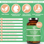 Gotu Kola Extrakt (Indischer Wassernabel) mit 10% Asiaticosiden: Premium, vegan, laborgeprüft, ohne Füllstoffe, 120 Kapseln. Hochkonzentriert, 4 Monate Vorrat, nachhaltig verpackt.