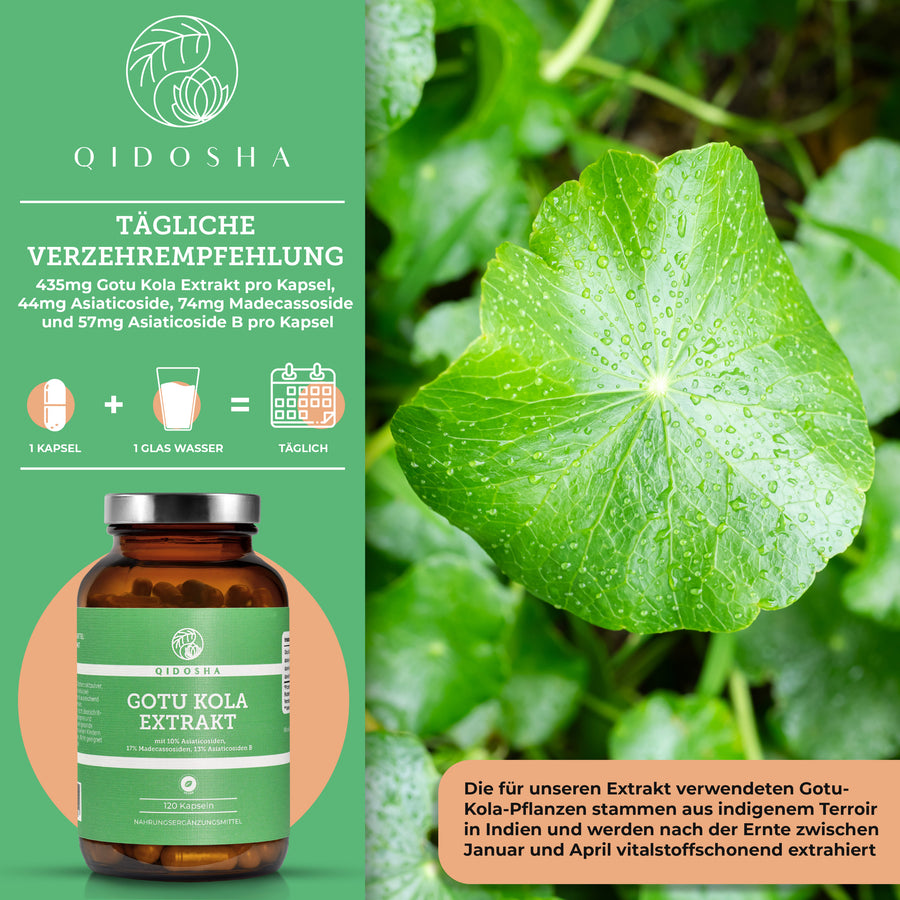 gotu kola glutathione Yayon Supplements for Healthy Skin Glow | Collagen Gummies for Women and Men| Bright Skin Glutathione Gummies with Vitamin C & Multivitamin | No Added Sugar Gotu Kola 400 mg ORGANIC