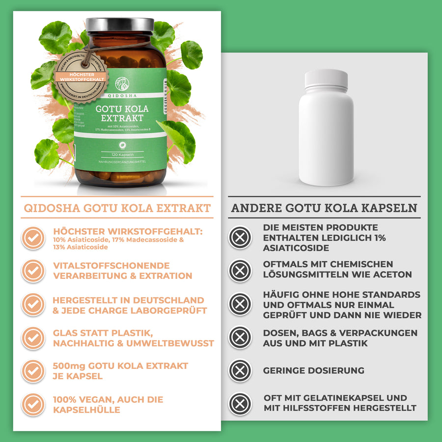 Gotu Kola Extrakt (Indischer Wassernabel) mit 10% Asiaticosiden