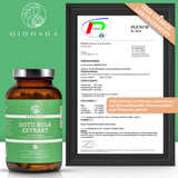 Екстракт от Готу Кола (индийски пенилист) с 10% азиатикозиди