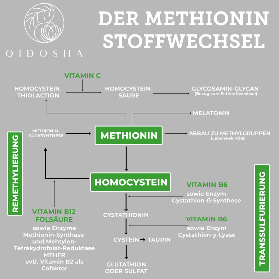 L-Methionin im Glas