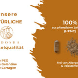 Extrait de Mumijo Shilajit