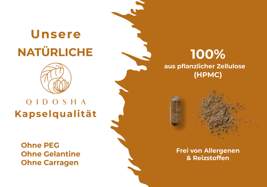 Izvleček mumije Shilajit