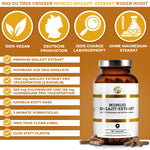 Mumijo Shilajit Extrakt: Premium, laborgeprüfte Qualität, 180 vegane Kapseln im Braunglas. 1.300 mg Shilajit-Extrakt pro Tag, ohne Füllstoffe, True-Clean-Label, deutsche Produktion.