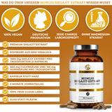 Mumijo Shilajit Extrakt: Premium, laborgeprüfte Qualität, 180 vegane Kapseln im Braunglas. 1.300 mg Shilajit-Extrakt pro Tag, ohne Füllstoffe, True-Clean-Label, deutsche Produktion.