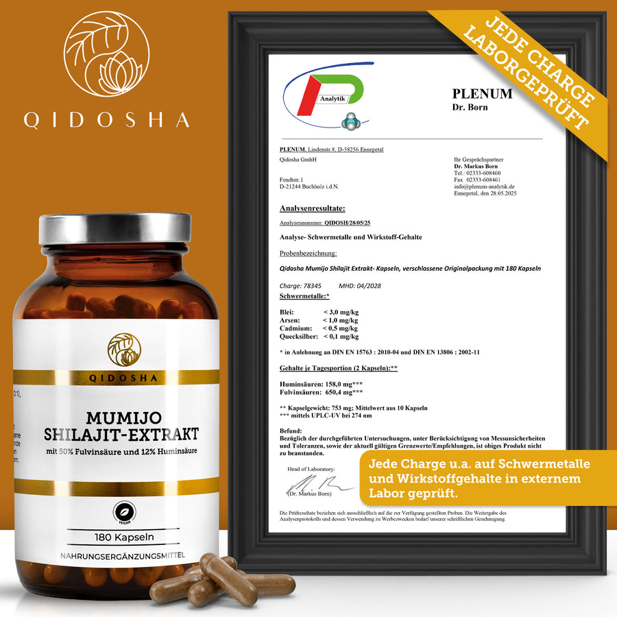 Izvleček mumije Shilajit