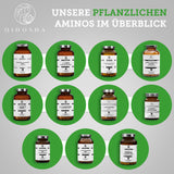 N-acétyl-L-cystéine (NAC)