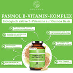 Vitamin B Komplex bioaktiv auf Quinoa-Basis von QIDOSHA: Premium, laborgeprüft, pflanzlich, hohe Bioverfügbarkeit, alle acht B-Vitamine, 180 Kapseln im Glas, ohne Zusatzstoffe.