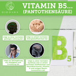 Vitamin B Komplex bioaktiv auf Quinoa-Basis von Qidosha: Infografik zeigt Vorteile von Pantothensäure, inklusive Energie- und Hormonstoffwechsel, in laborgeprüfter, hochwertiger Qualität ohne Füllstoffe.