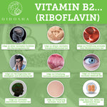 Vitamin B Komplex bioaktiv auf Quinoa-Basis, Infografik über Riboflavin: Unterstützt Nervensystem, Energiestoffwechsel, Haut, Sehkraft. Hohe Qualität, vegan, ohne Füllstoffe.