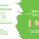 Vitamin B Komplex bioaktiv auf Quinoa-Basis, Premium-Kapseln aus pflanzlicher Zellulose, frei von Gelatine, PEG und Carrageen, laborgeprüft, ohne Füll- oder Zusatzstoffe.