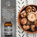 Complexe de champignons