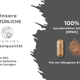 Complexe de champignons