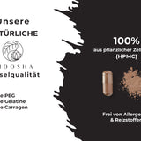 Extrait d'ail noir fermenté