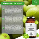Vitamine C (plantaardig) uit biologisch amla-extract