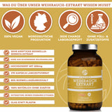 Екстракт от тамян (Boswellia Serrata 85%)