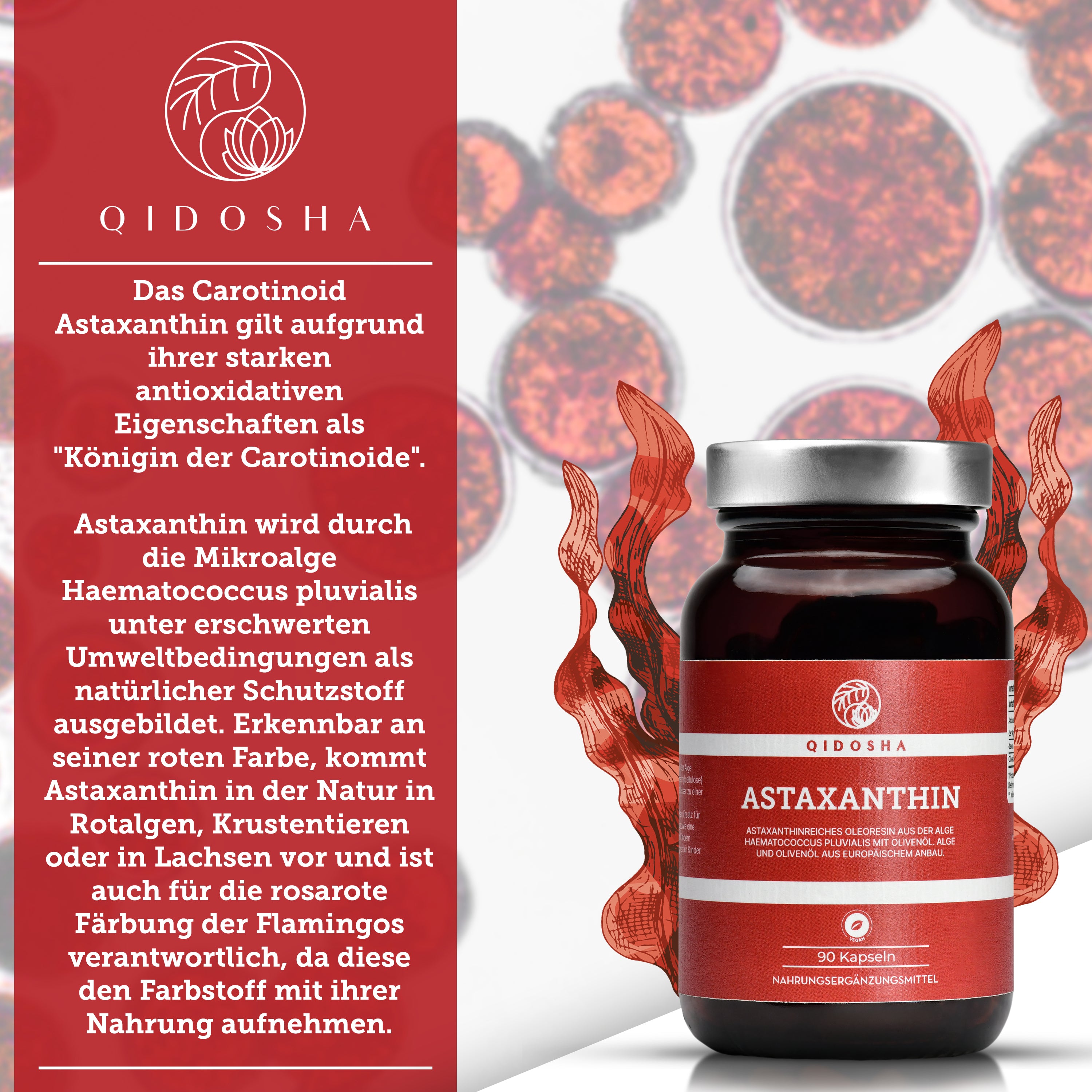 QIDOSHA Astaxanthin 12 mg plus Olivenöl Softgels, 90 Kapseln im Apothekerglas, vegan, hohe Qualität, laborgeprüft, ohne Füll- oder Zusatzstoffe, true clean label.