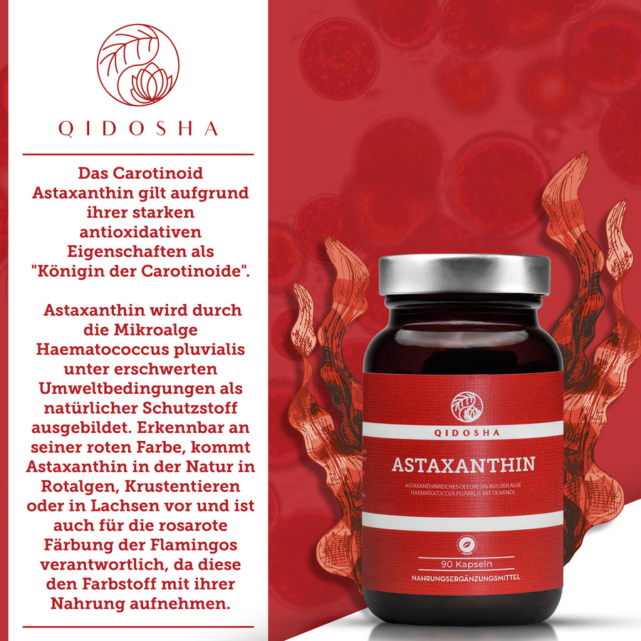 QIDOSHA Astaxanthin 12 mg plus Olivenöl Softgels: Premium-Nahrungsergänzungsmittel, vegan und laborgeprüft. Hergestellt in Deutschland, frei von Füllstoffen, nachhaltige Glasverpackung.