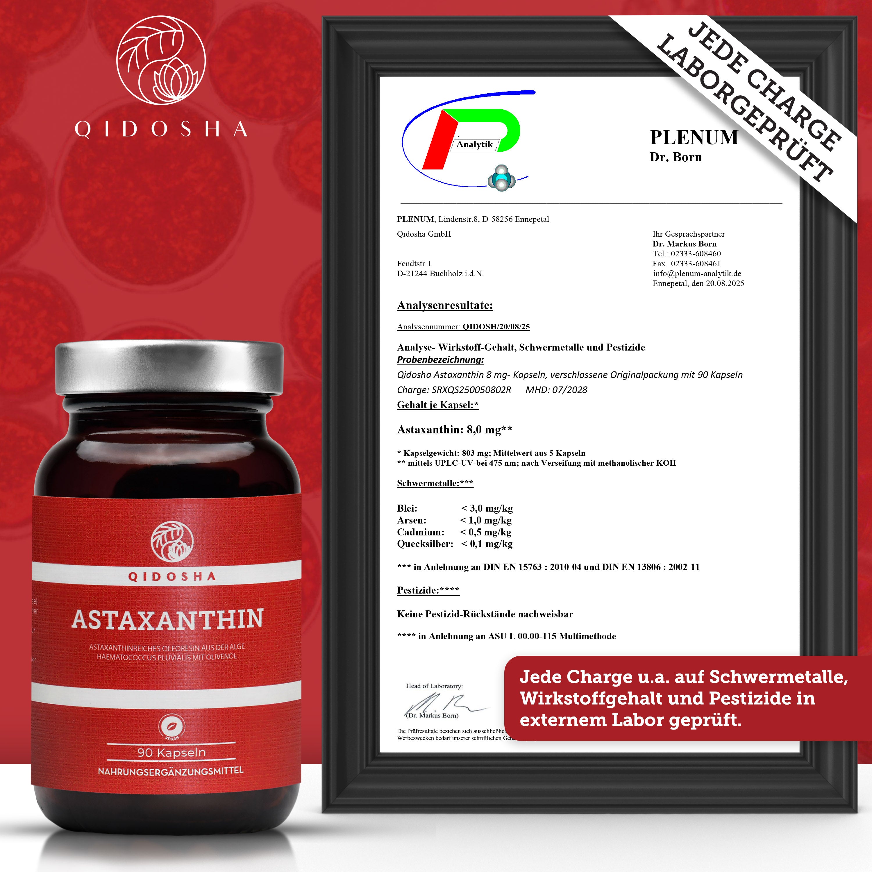 QIDOSHA Astaxanthin 8 mg plus Olivenöl: Premium-Nahrungsergänzungsmittel, laborgeprüfte Qualität, ohne Zusatzstoffe, in nachhaltigem Apothekerglas. Enthält 90 Kapseln, getestet auf Schwermetalle und Pestizide.