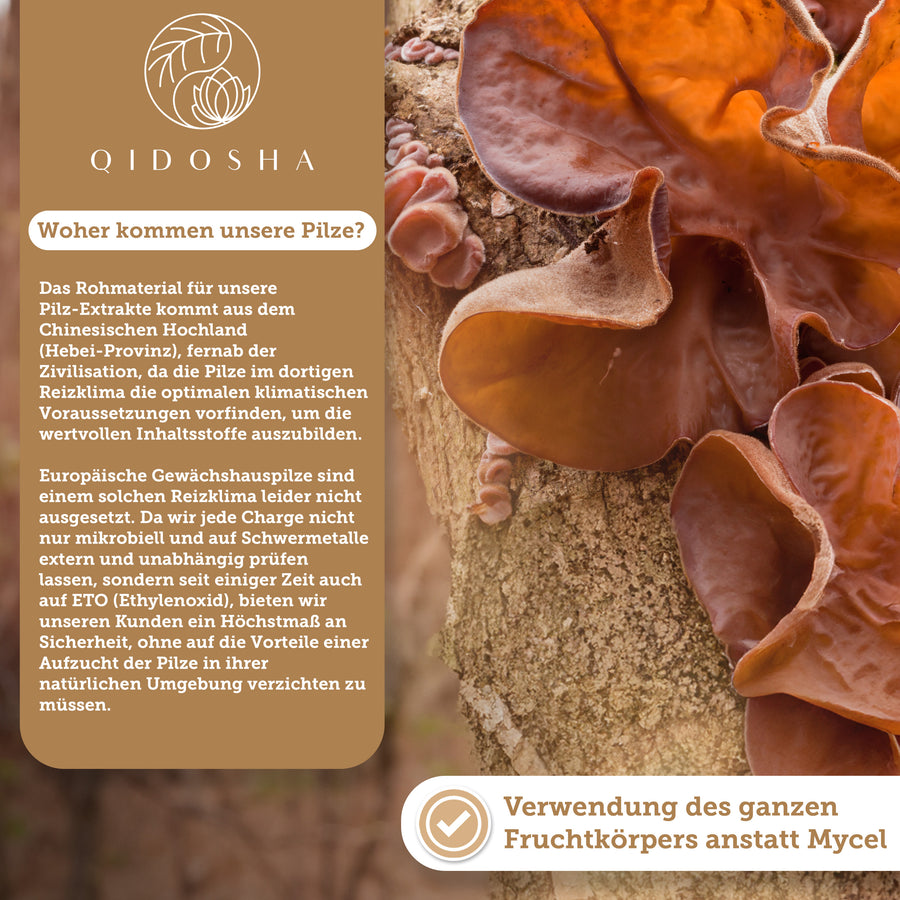 Auricularia (Judasohr) Extrakt im Glas