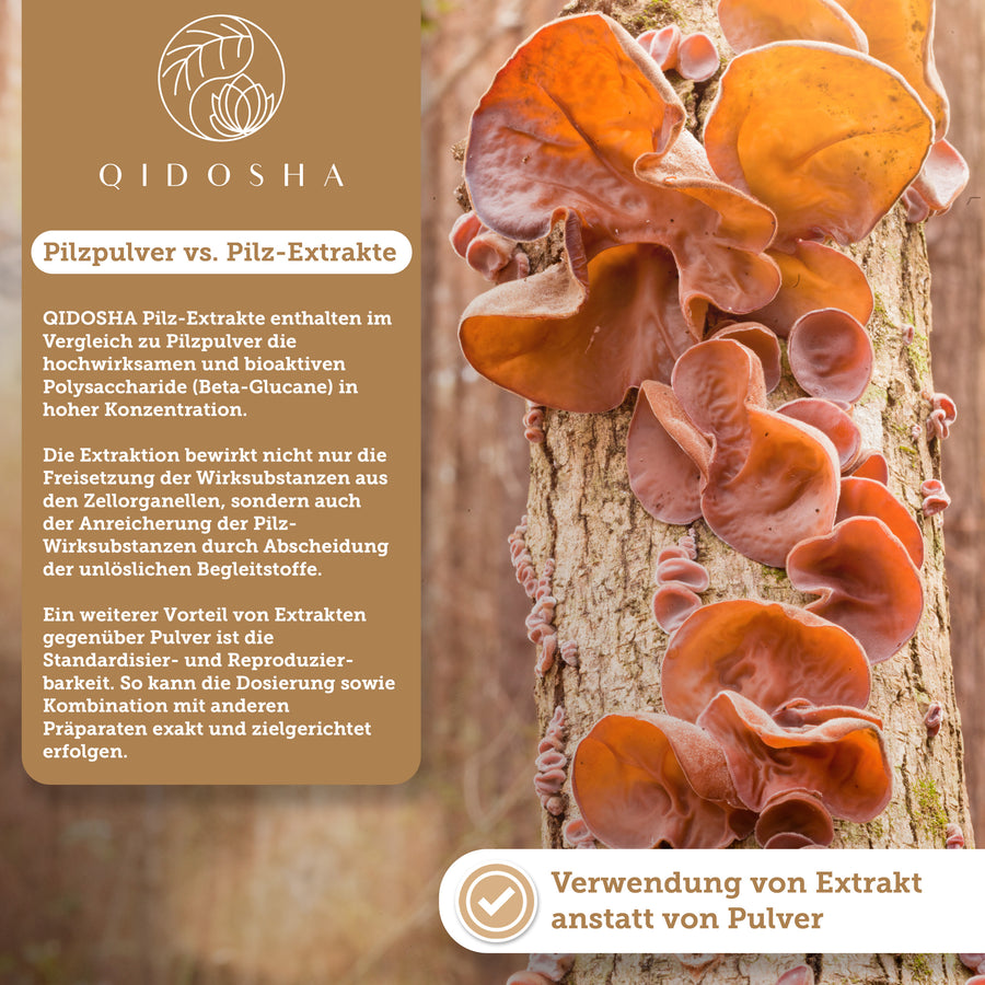 Auricularia (Judasohr) Extrakt im Glas