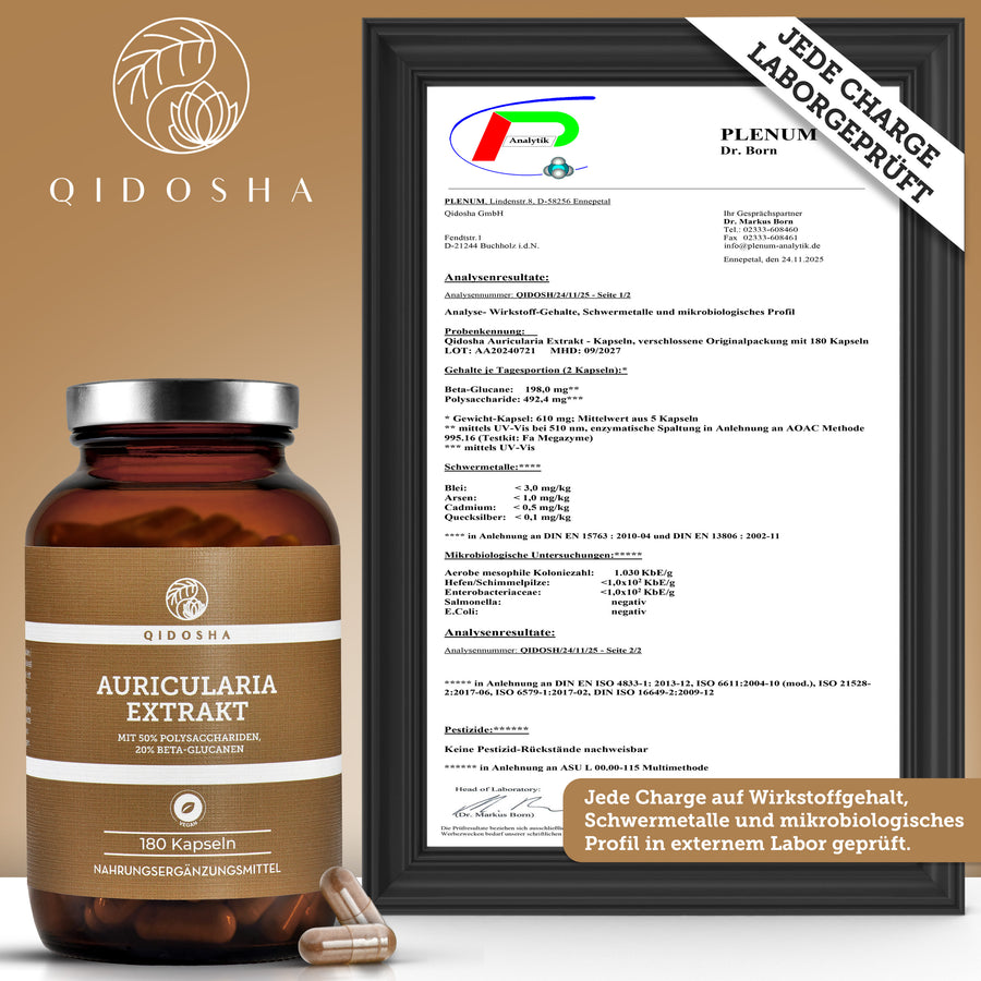 Extract de Auricularia (Urechea lui Iuda).