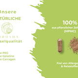 QIDOSHA Artischockenextrakt mit 10% Cynarin, pflanzliche Kapseln aus HPMC, ohne Gelatine, laborgeprüfte Premium-Qualität, frei von Allergenen, in lichtgeschütztem Braunglas.