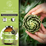 Artischockenextrakt mit 10% Cynarin, Premium-Nahrungsergänzungsmittel in lichtgeschütztem Glas, 240 Kapseln, laborgeprüft, ohne Füllstoffe, vegane Hartkapseln, hergestellt in Deutschland.