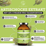 Artischockenextrakt mit 10% Cynarin: Premium-Qualität, 240 vegane Kapseln, rohstoffrein, ohne Zusatzstoffe, laborgeprüft, 80-Tage-Vorrat in Braunglas.