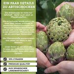 Premium Artischockenextrakt mit 10% Cynarin, hergestellt aus spanischen Artischockenblättern, laborgeprüft, ohne Zusatzstoffe, in Apotheker-Braunglas verpackt, mit QIDOSHA-Logo, Hände halten frische Artischocken.