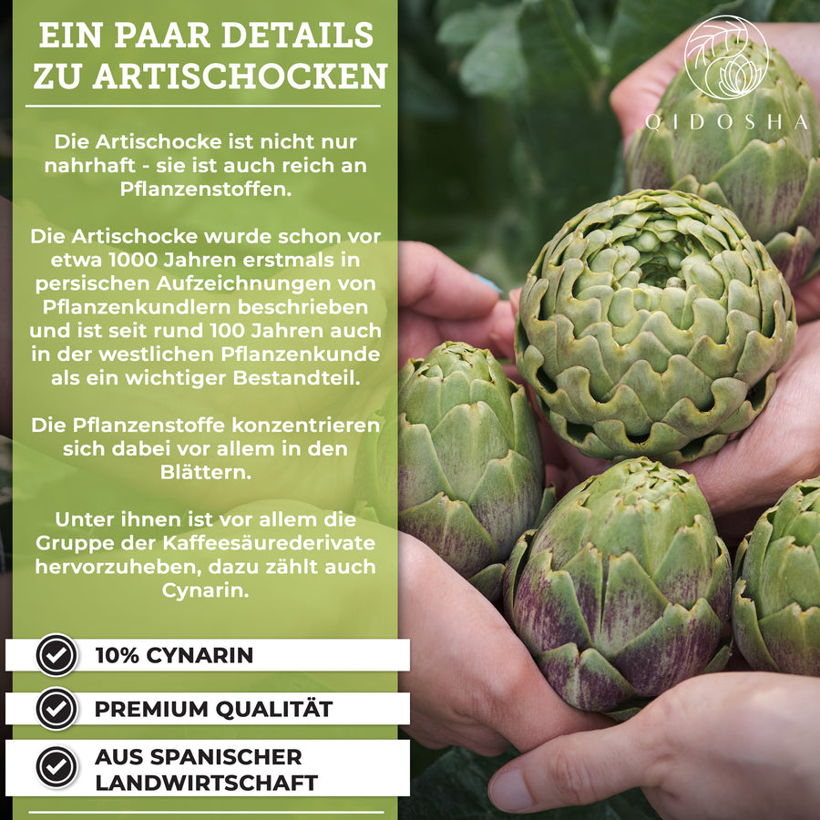 Premium Artischockenextrakt mit 10% Cynarin, hergestellt aus spanischen Artischockenblättern, laborgeprüft, ohne Zusatzstoffe, in Apotheker-Braunglas verpackt, mit QIDOSHA-Logo, Hände halten frische Artischocken.