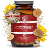 Qidosha Astragalosid IV aus Astragalus-Wurzelextrakt plus Piperin: 90 vegane, deutsche Premium-Kapseln im Braunglas, laborgeprüft, ohne Füllstoffe, hoher Astragalosid IV-Gehalt, mit Astragalusblüten und -wurzeln.