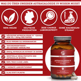 Qidosha Astragalosid IV aus Astragalus-Wurzelextrakt mit Piperin, Premium Nahrungsergänzungsmittel: 100 % vegan, deutsche Produktion, ohne Füllstoffe, laborgeprüfte Qualität, Glasverpackung.